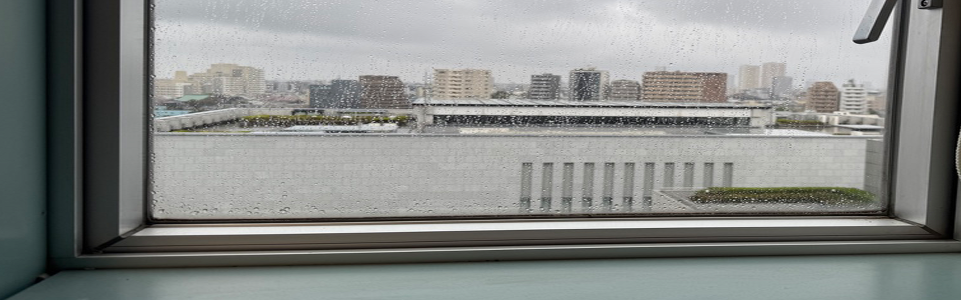 川上淳之・川上ゼミホームページ